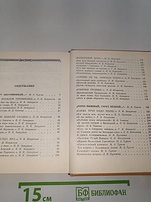 Петербургские встречи Пушкина