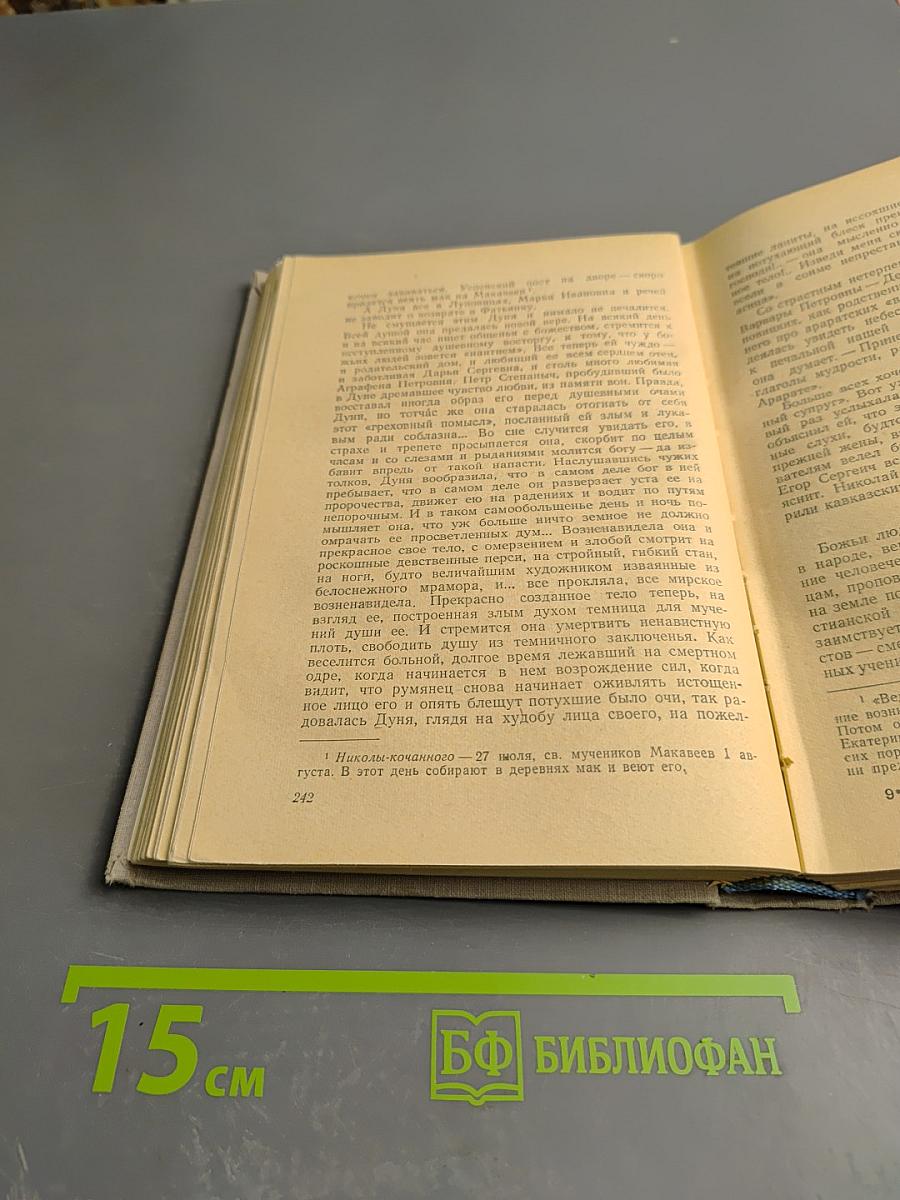 На горах. Книга вторая