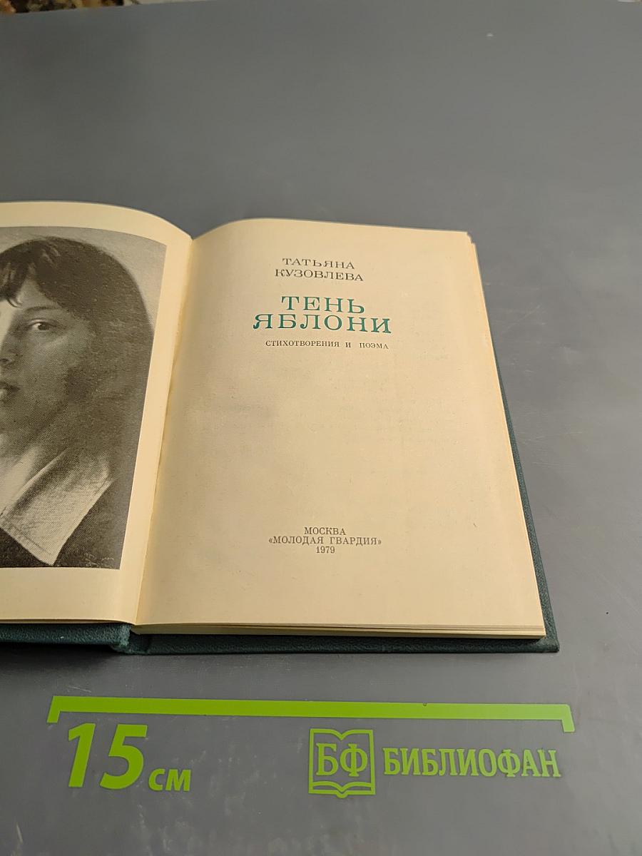 Тень яблони