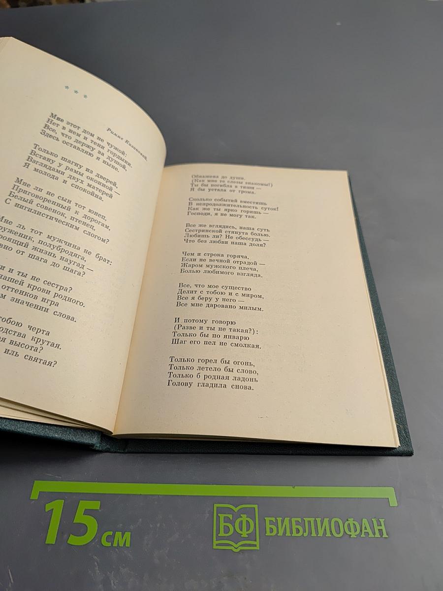 Тень яблони