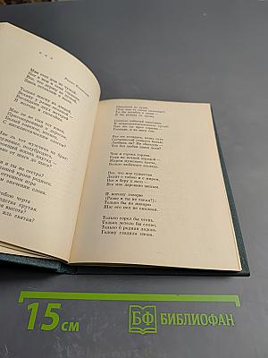 Тень яблони