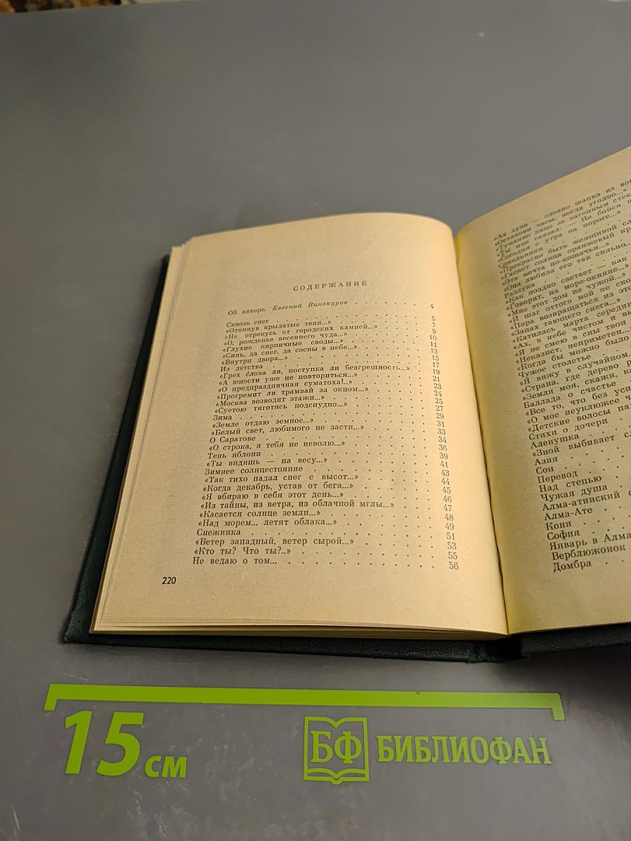 Тень яблони