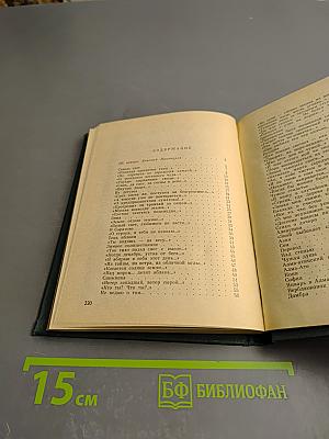 Тень яблони