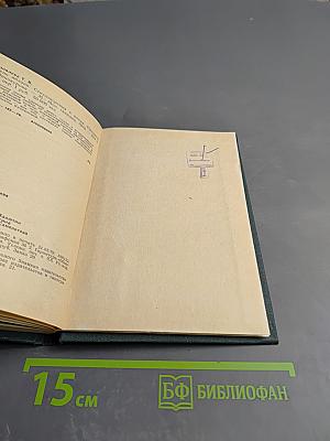 Тень яблони