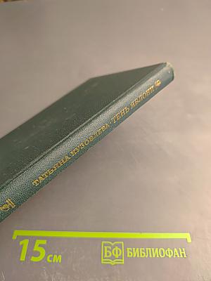 Тень яблони