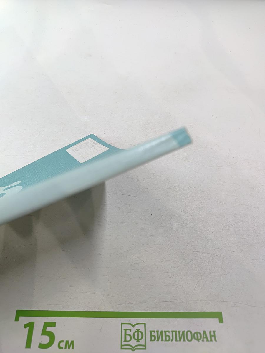 Я читаю по-русски: Книга для чтения со словарем