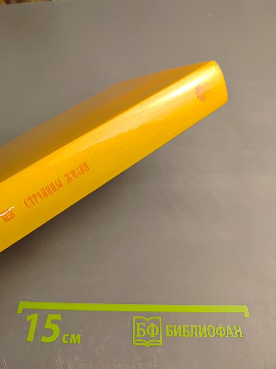 Страницы жизни