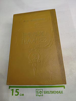 Емельян Пугачев. Книга 2