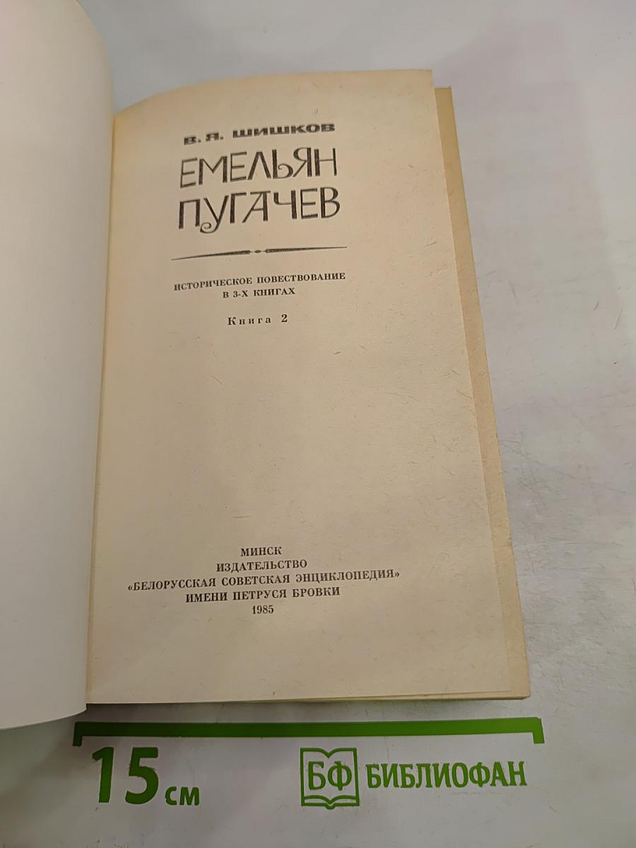Емельян Пугачев. Книга 2