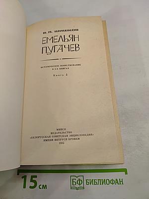 Емельян Пугачев. Книга 2