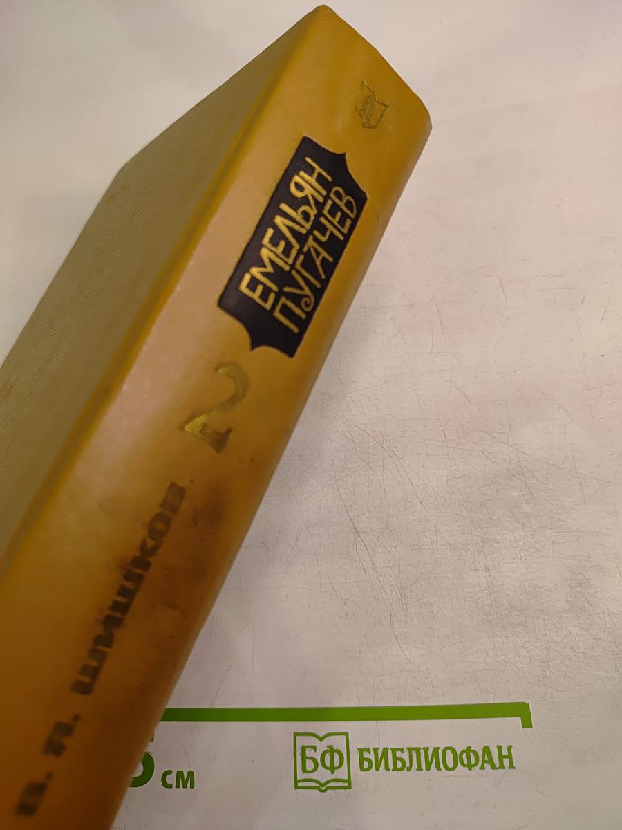 Емельян Пугачев. Книга 2