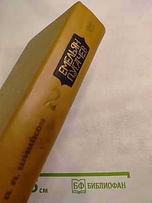 Емельян Пугачев. Книга 2