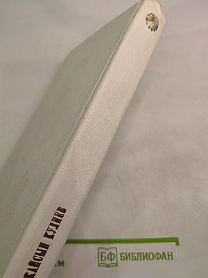 Свет в тумане