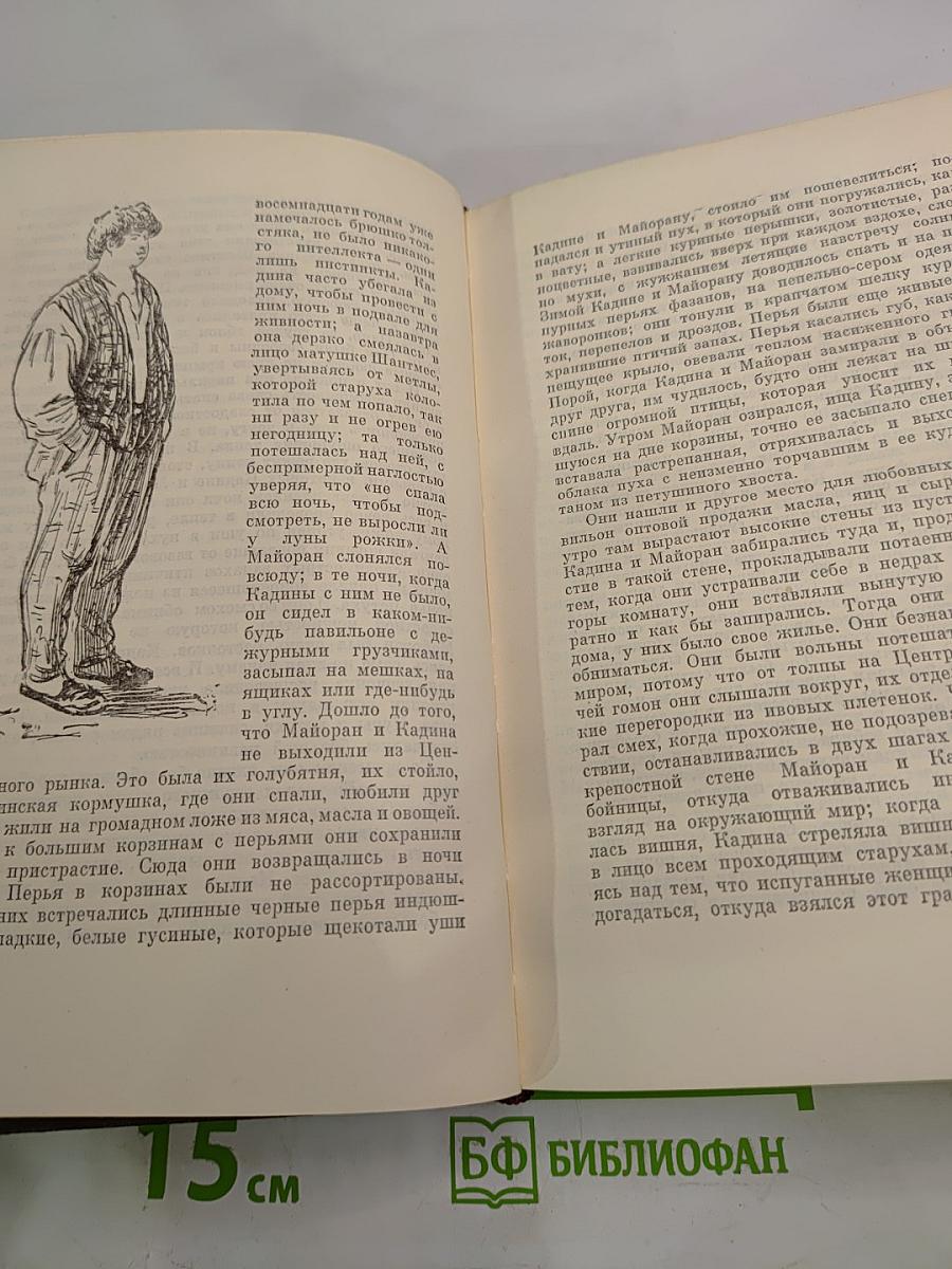Собрание сочинений. Том четвертый: Чрево Парижа. Завоевание Плассана