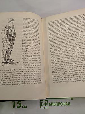 Собрание сочинений. Том четвертый: Чрево Парижа. Завоевание Плассана