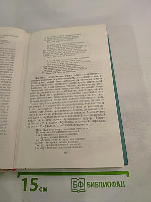 Русская критика