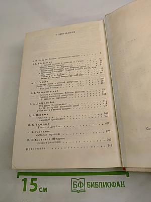 Русская критика