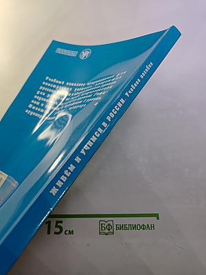 Живём и учимся в России. Учебное пособие по русскому языку для иностранных учащихся (I уровень)