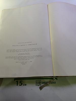 Dějiny umění v obrysech