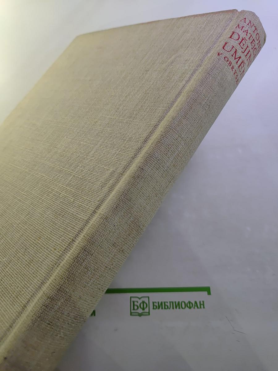 Dějiny umění v obrysech