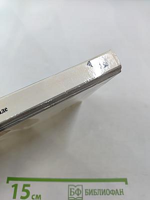 РЕРИХ в Петербурге – Петрограде