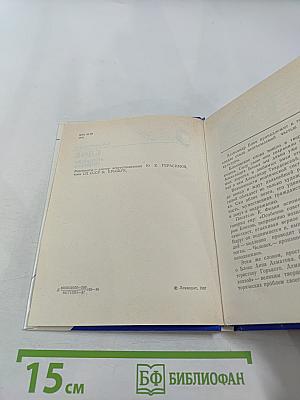 Блок в Петербурге-Петрограде