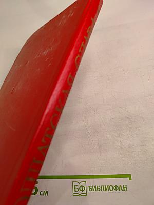 Солдатская Слава. Книга Пятая