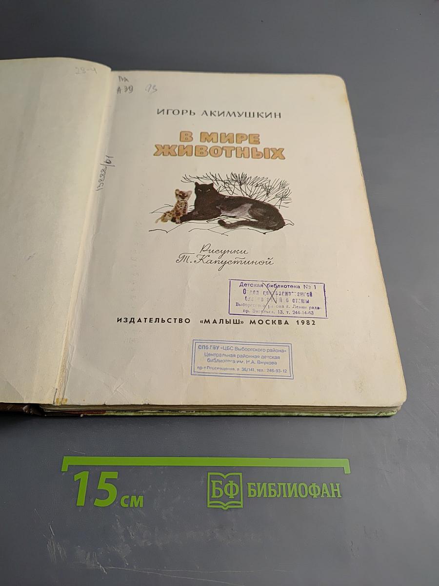 В мире животных