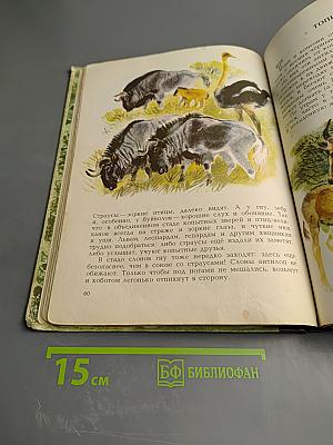 В мире животных