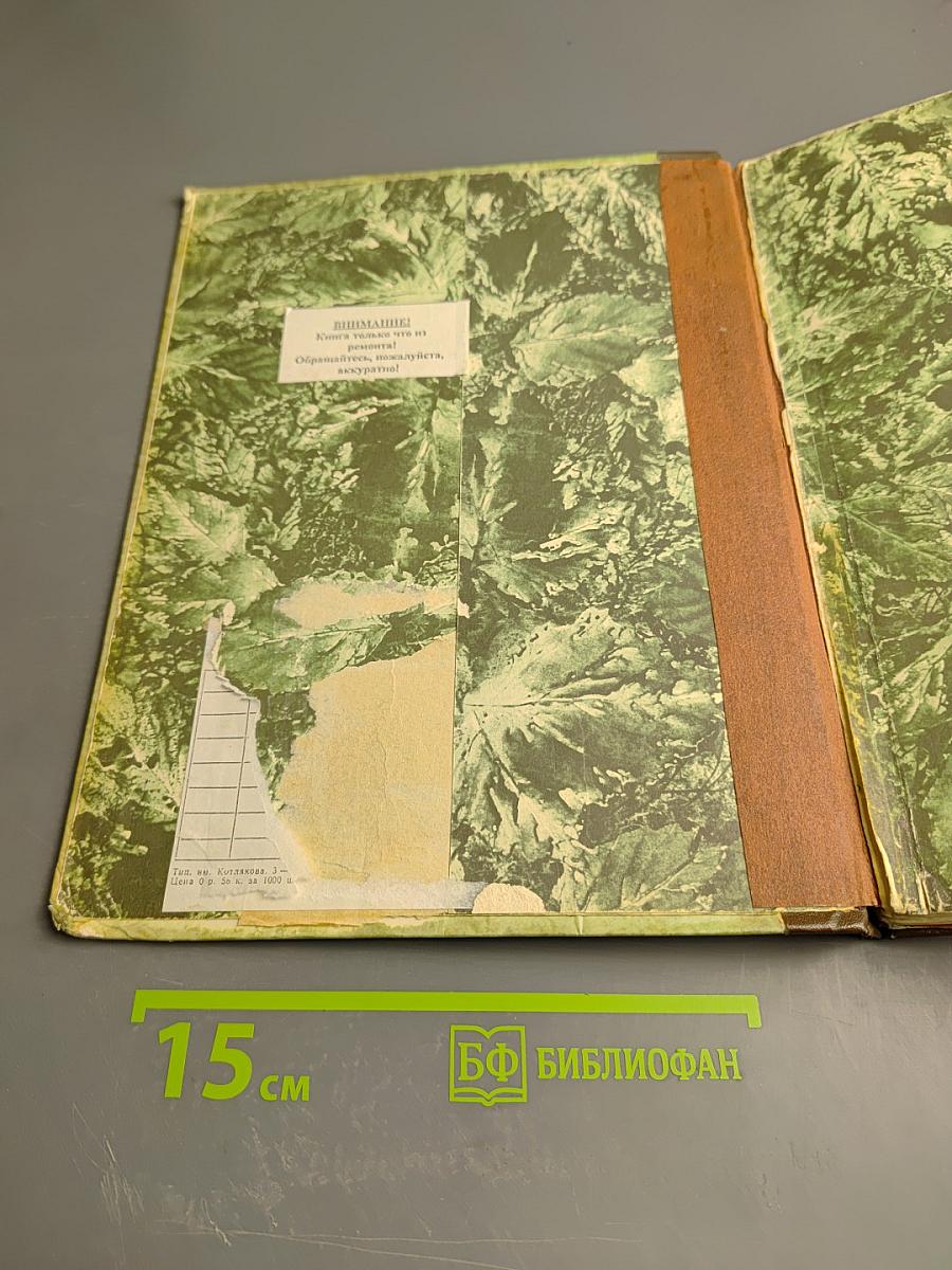 В мире животных