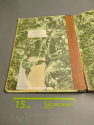 В мире животных