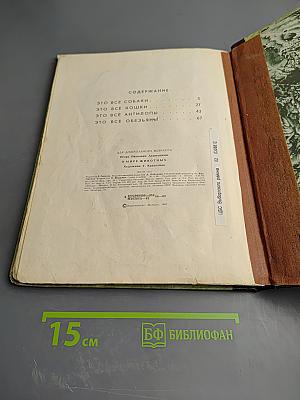 В мире животных