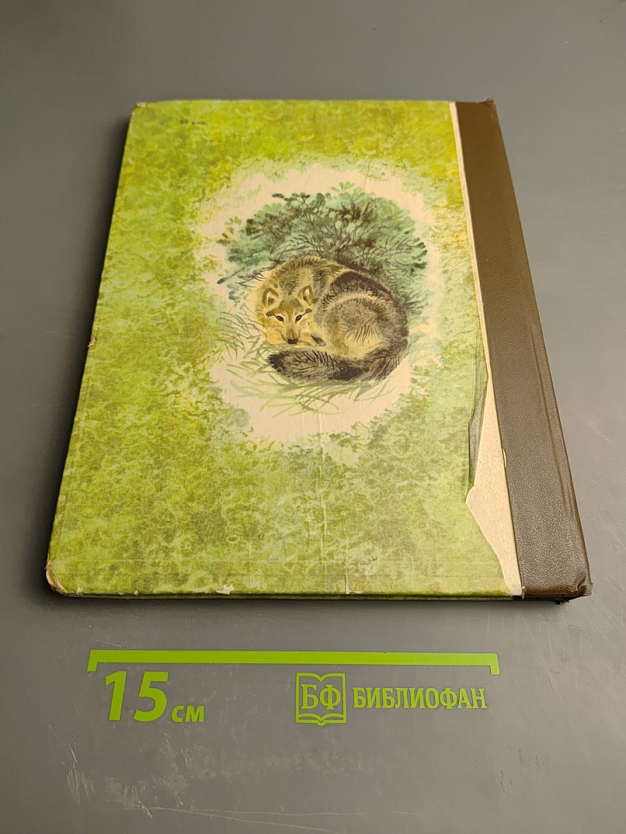 В мире животных