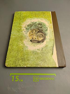 В мире животных