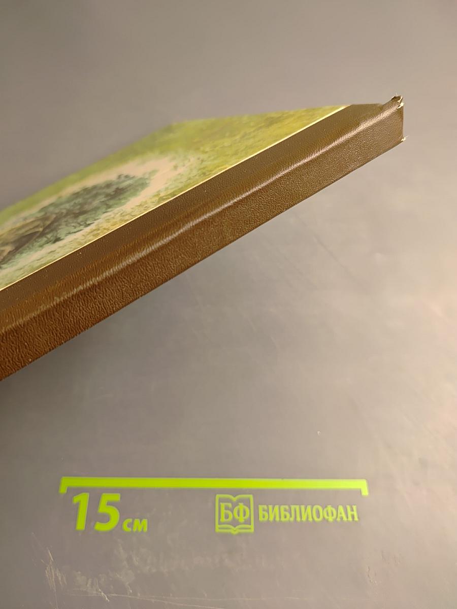 В мире животных