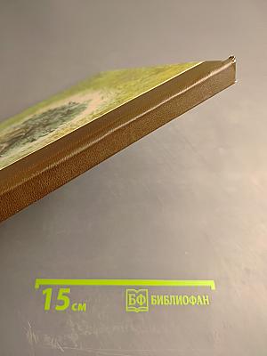 В мире животных