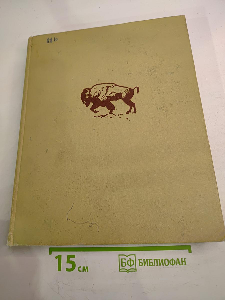 Зоология для учителя. Том второй