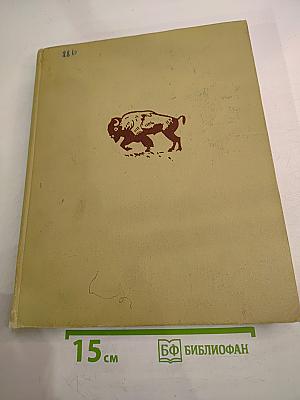 Зоология для учителя. Том второй