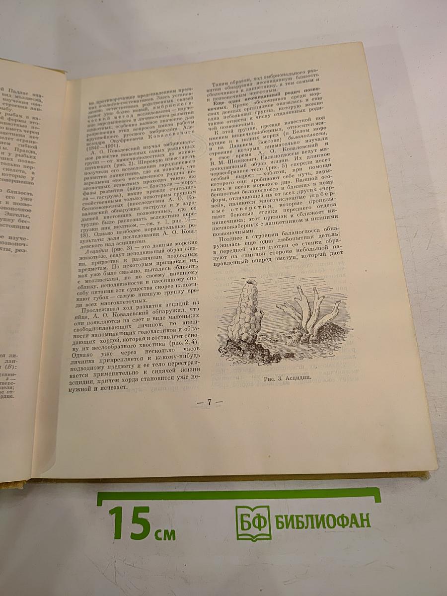 Зоология для учителя. Том второй