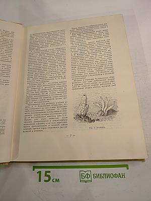 Зоология для учителя. Том второй