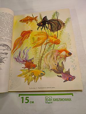 Зоология для учителя. Том второй