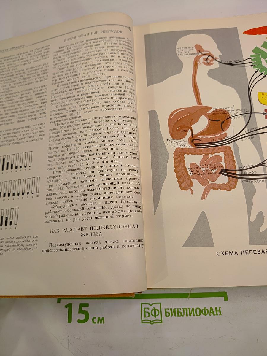 Детская Энциклопедия том 6. Человек