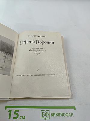 Сергей Воронин. Критико-биографический очерк