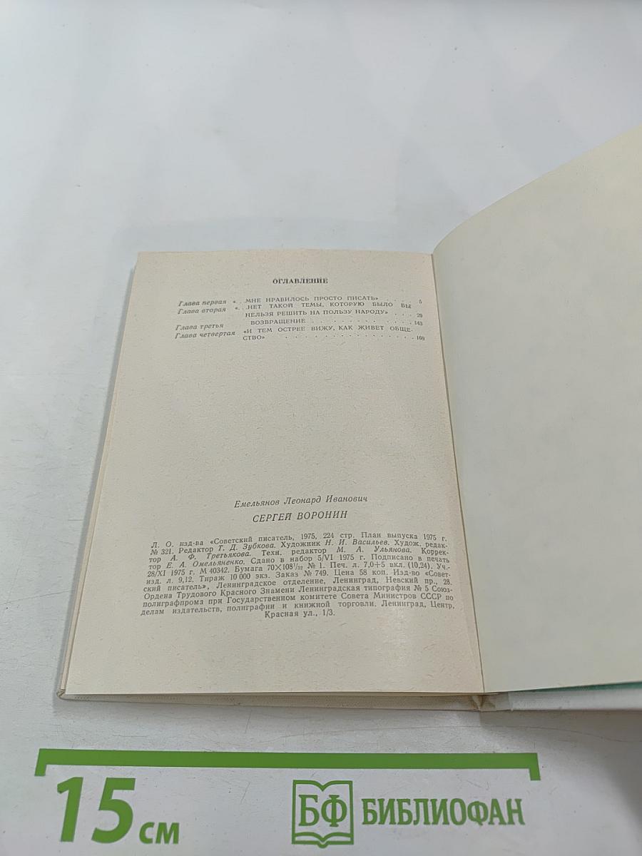 Сергей Воронин. Критико-биографический очерк