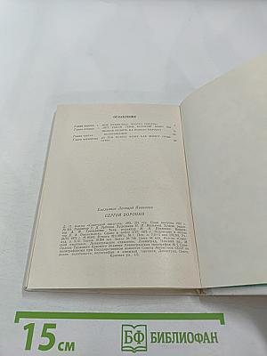 Сергей Воронин. Критико-биографический очерк