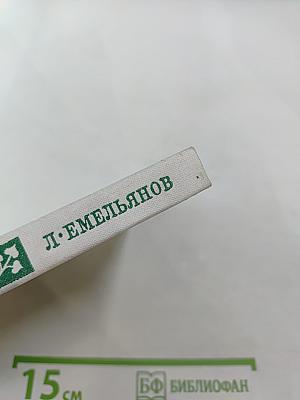 Сергей Воронин. Критико-биографический очерк