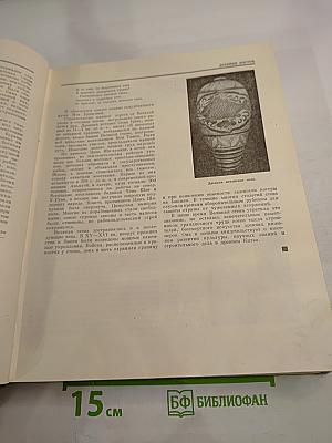 Из истории человеческого общества. Том 8