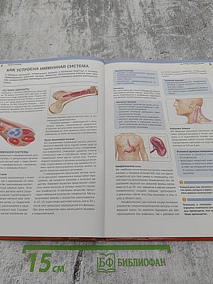 Сильный иммунитет