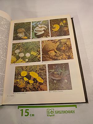 Популярная медицинская энциклопедия