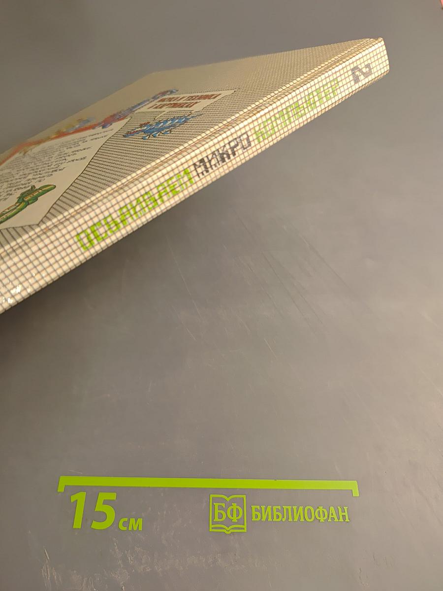 Осваиваем микро-компьютер. В двух книгах. Книга 2